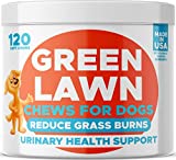 Grass Burn Spot Chews for Dogs - Pee Lawn Spot Saver - Natural Urine Neutralizer for Grass Burn Spots - Dog Pee Lawn Repair - w DL-Methionine - 120 Ct