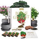 Bonsai Tree Kit  Plant 4 Species of Bonsai Tree w/ Our All-in-One Plant Kit: Bonsai Pots & Peat Pellets Including a Bonus in-Depth Grow Guide by Home Grown | Great Gardening Gifts for Women and Men