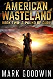 A Pound of Cure (American Wasteland Book 2)