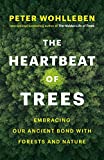 The Heartbeat of Trees: Embracing Our Ancient Bond with Forests and Nature