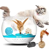PETNF 2021 Newest Interactive Cat Toy,Fish Bowl-Shaped Kitten Toys,Cat Feather Toys Timer Setting,Cat Tumbler Toy USB Charging,Multiple Game Play,Automatic Rotating,Non-Toxic and Eco-Friendly