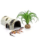 Reptile Hides and Caves Birch Tree Bark Trunk Habitats Decor Aquarium Decoration Wood for Lizard Geckos Snake Spiders Frogs Turtle (Small)