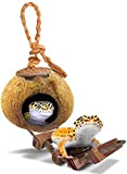 SunGrow Leopard Gecko Coconut Husk Hut with Ladder, 5 Diameter, 2.5 Shell Opening, Cave Habitat with Hanging Loop, 1 Pc per Pack