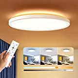 Dimmable LED Flush Mount Ceiling Light Fixture with Remote Control, BLNAN 12Inch 24W Round Close to Ceiling Lights, 3000K-6500K Light Color Changeable, Slim Modern Ceiling Lamp for Bedroom Kitchen