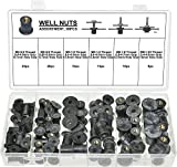 Swordfish 21151 - Automotive Metric Rubber Well Nut Assortment Nut Insert Kit for GM/AMC/VW & Regular Purpose, Package of 90 Pieces