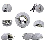 AMJ K1 Cute Shell Cat Bed House Indoor, Cat Toys Ball Interactive - Soft Cat Cave & Foldable Pet Tunnel Tube Condos, as a Multi-Function Fun Toy Bed for Puppy Dogs & Cats (Off-White)