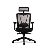 Autonomous Premium Ergonomic Office Chair for Computer or Gaming, with Wheels, Lumbar Support, Adjustable Seat, Headrest, and Armrests, Mesh Back, Medium, Full Black