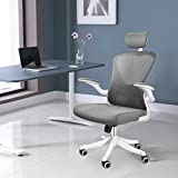 NOXXON Mesh Chair with Adjustable Lumbar Support,High-Back Ergonomic Computer Chair with Wheels,Home Office Desk Chair White