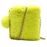 FHQHTH Faux Fur Purse for Women Fluffy Evening Bags Small Cute Phone Crossbody Bag Cosmetic bag [Neon Yellow]