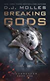 Breaking Gods (Godbreaker Book 1)