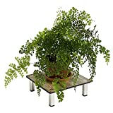 FOREMAN Potted Plant Stand 12 inches Heavy Duty Square Flower Pot Holder Rack for Planter Garden Container Support Premium HPL Plastic Aluminum Legs Outdoor Indoor 10 Year Warranty (Amaretto)