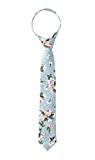 Spring Notion Boys' Cotton Floral Skinny Zipper Tie, Light Blue Medium