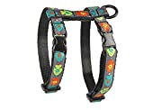 RC Pet Products 1/2" Adjustable Kitty Cat Harness, Small, Fish