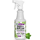 Mighty Mint - 16oz Spider Repellent Peppermint Oil - Natural Spray for Spiders and Insects - Non Toxic