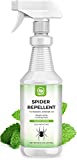 NATURAL OUST Peppermint Oil Spider Repellent Spray - Eco Friendly Indoor Outdoor - Effective Spider Control