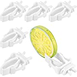 6 Pieces Bird Cage Food Holder Parrot Fruit Vegetable Clips Bird Cage Feeder Clip for Budgie Parakeet Cockatoo Macaw Cockatiel Conure