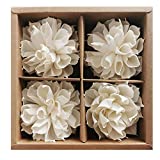 4 Dahlia Sola Flower Diffuser Cotton Wick for Home Fragrance Aroma Oil by Plawanature