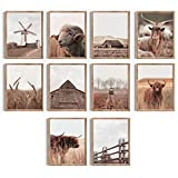 Cozyside Scottish Highland Cow Wall Art - Set of 10 Farmhouse Pictures Wall Decor for Western Wall Art or Farm Wall Decor. Unframed Cow Print Decor Posters (Brown, 8x10in)