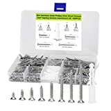 M3 Flat Head Wood Screws Assortment Fasteners Kit 420pcs,Phillips Drive Countersunk Head Self-Tapping Screws,304 Stainless Steel,Contains 20pcs M6 Screw Anchors