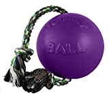 Jolly Pets Romp-n-Roll Rope and Ball Dog Toy, 8 Inches/Large, Purple, Large Breeds