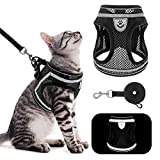 PUPTECK Breathable Cat Harness and Leash Set - Escape Proof Cat Vest Harness, Reflective Adjustable Soft Mesh Kitty Puppy Harness, Easy Control for Outdoor Walking