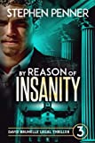 By Reason of Insanity: David Brunelle Legal Thriller #3 (david brunelle legal thrillers)