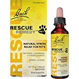 Bach RESCUE REMEDY PET Dropper 20mL, Natural Stress and Occasional Anxiety Relief, Calming for Dogs, Cats, and Other Pets, Homeopathic Flower Remedy, Thunder, Fireworks and Travel, Sedative-Free