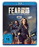 Fear the Walking Dead - Staffel 4 [Blu-ray]