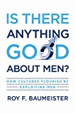 Is There Anything Good About Men?: How Cultures Flourish by Exploiting Men