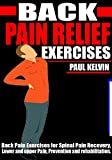 BACK PAIN RELIEF EXERCISES: Back pain exercises for spinal cord recovery, Lower and Upper back pain, Prevention and Rehabilitation.