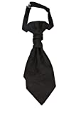 Hello Tie Pre-tied Microfiber Ascot Ruche Paisley Cravats Tie for Men (Black)