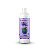 Earthbath Coat Brightening Shampoo for Dogs & Cats  Enhances Color & Shine in All Coats, Made in the USA  Lavender, 16 oz