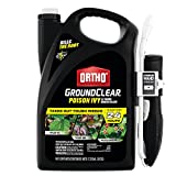 Ortho 475705 GroundClear Ivy & Tough Brush Killer with Ready-to-Use Comfort Wand-See Results in 24 Hours Kills Ivy, Poison Oak, Kudzu & Wild BlackBerry, 1.33-Gal