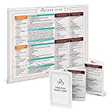 Bright Line Eating Official Food Plan Fridge Magnet & Pocket Guide | Easy Meal Plan Reference Guide | Take Anywhere Pocket Guide to Help Keep You On Track