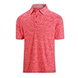 SAMERM Mens Golf Shirt Moisture Wicking Quick Dry Short Sleeve Casual Golf Polo Shirts for Men(RED L)