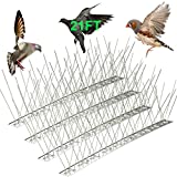 IPSXP Stainless Steel Bird Spikes for Pigeons Small Birds Cat Cover 21 Feet (16 Pack), Anti Bird Spikes Stainless Steel Bird Deterrent Spikes Repellent Fence Spikes.(Self-Assembly)