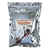 Certified Organic Bugleweed, Carpenter's Herb (Lycopus Virginicus) Dried Herb 2 oz