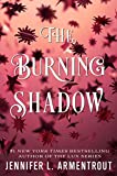 The Burning Shadow (Origin Series, 2)