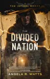 The Divided Nation (The Infidel Books Book 1)