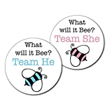 36 2.5 inch Bumble Bee Team He and She Gender Reveal Party Stickers