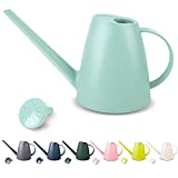 Watering Can for Indoor Plants, Small Watering Cans for House Plant Garden Flower, Long Spout Water Can for Outdoor Watering Plants 1.8L 60oz 1/2 Gallon (Green)