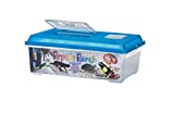 Lee's Reptile Ranch, Large, Rectangle with Lid, Colors may Vary