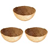 Owevvin 3 Pack Round Replacement Coco Liner, 10 Inches Coconut Fiber Plant Basket Liner for Hanging Basket, Garden Planter Flower Pot (10 Inches)