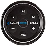 Hogtunes BTS-AA in-Fairing Bluetooth Music Controller (for 1999-2013 Harley-Davidson Touring Models)