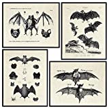 Bats Wall Decor - Vintage Retro Hipster Goth Art, Home or Room Decoration - Gift for Gothic, Horror, Vampire Fans - 8x10 UNFRAMED Creepy Scary Anatomical Picture Poster Print Set