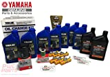 YAMAHA OEM F300 CA V6 4.2L Oil Change 10W30 FC 4M Lower Unit Gear Lube Drain Fill Gaskets NGK Spark Plugs LFR6A-11 Primary Fuel Filter Maintenance Kit