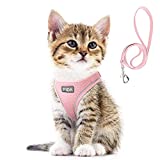 Fida Comfy Dog Harness with Leash, Cat Vest Harness Escape Proof, Breathable Lightweight Soft Mesh, Adjustable Reflective Step-in Harness for Puppy Toy Breeds & Extra-Small Pet (XXS, Pink)