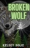 Broken Wolf: A rejected mates, second chance, secret baby romance (Rejected Mates of the Shelter Book 1)