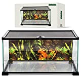 BIOTERIUM Reptile Tank | 20x12x10 Inch Glass Tank for Reptiles | 38L (10 Gal) | with Terrarium Background | Ideal to Use As Lizard Tank, Snake Cage, and Gecko Enclosure Kit
