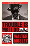Trouble Is What I Do: Leonid McGill 6 (Leonid McGill mysteries)